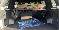 싼타페 (MX5) HEV 1.6 2WD H Pick 151호2326, 2327, 2328 싼타페장기렌터카, 중고장기렌트, 싼타페장기렌트